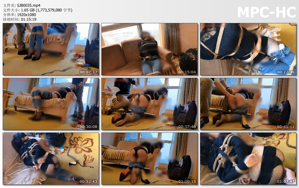 SJB0035.mp4_thumbs.jpg
