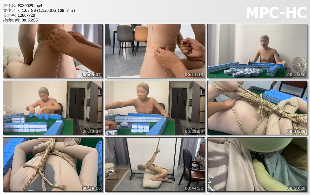 FXX0029.mp4_thumbs.jpg