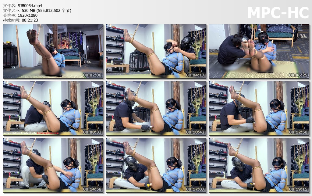SJB0054.mp4_thumbs.jpg