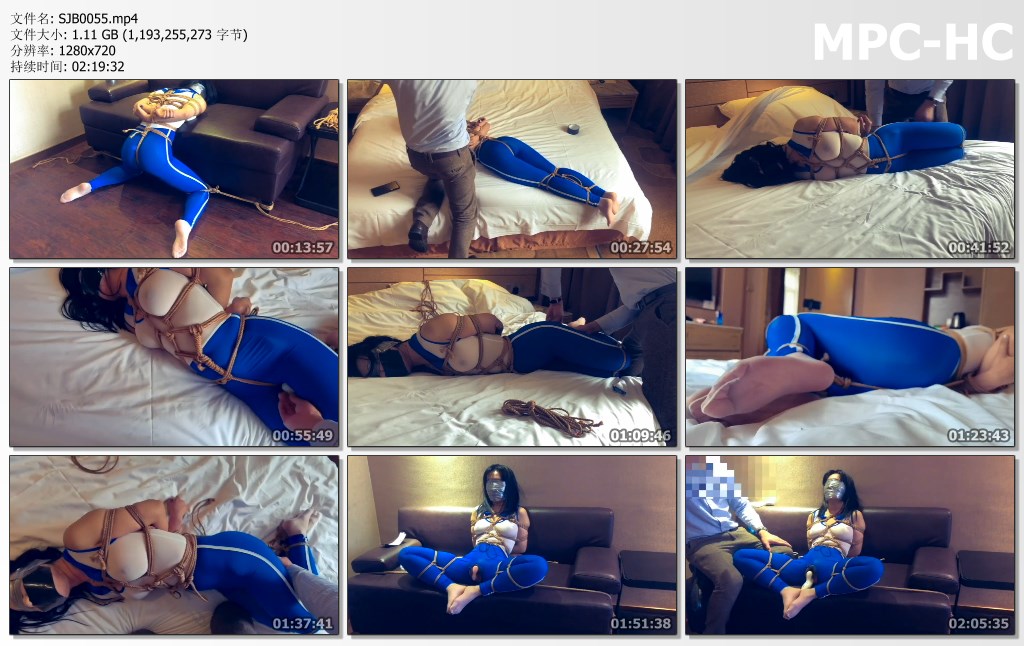 SJB0055.mp4_thumbs.jpg