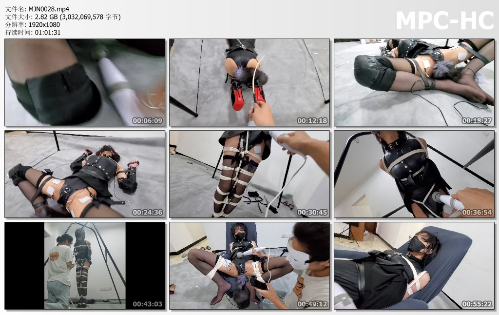 MJN0028.mp4_thumbs.jpg