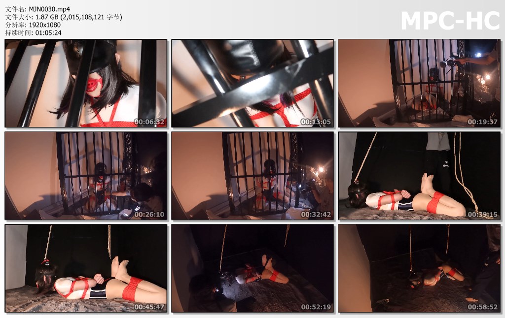 MJN0030.mp4_thumbs.jpg
