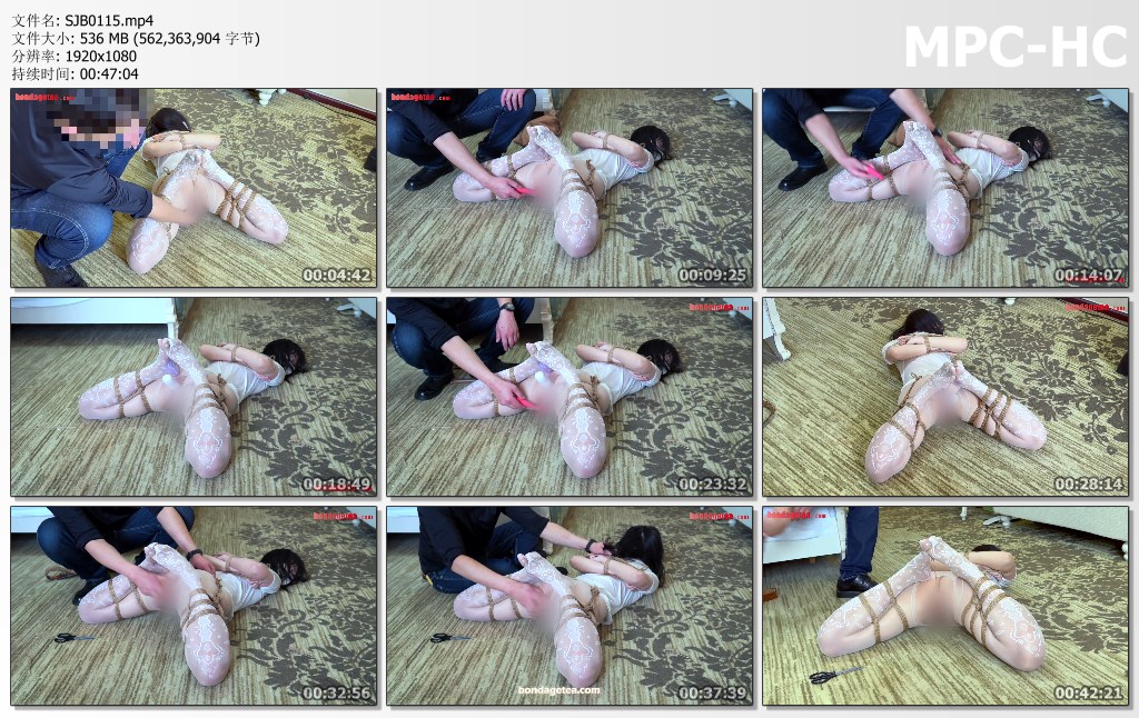 SJB0115.mp4_thumbs.jpg