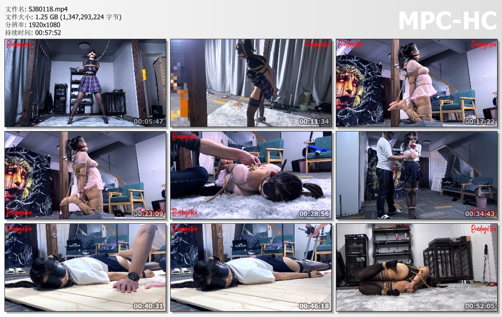 SJB0118.mp4_thumbs.jpg