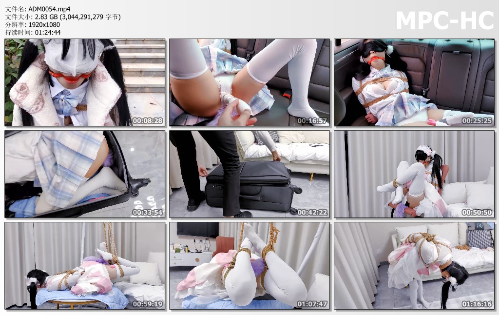 ADM0054.mp4_thumbs.jpg