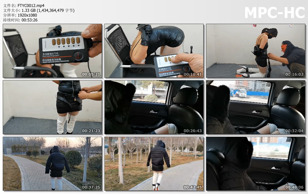FTYC0012.mp4_thumbs.jpg