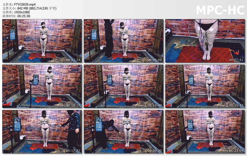 FTYC0039.mp4_thumbs.jpg