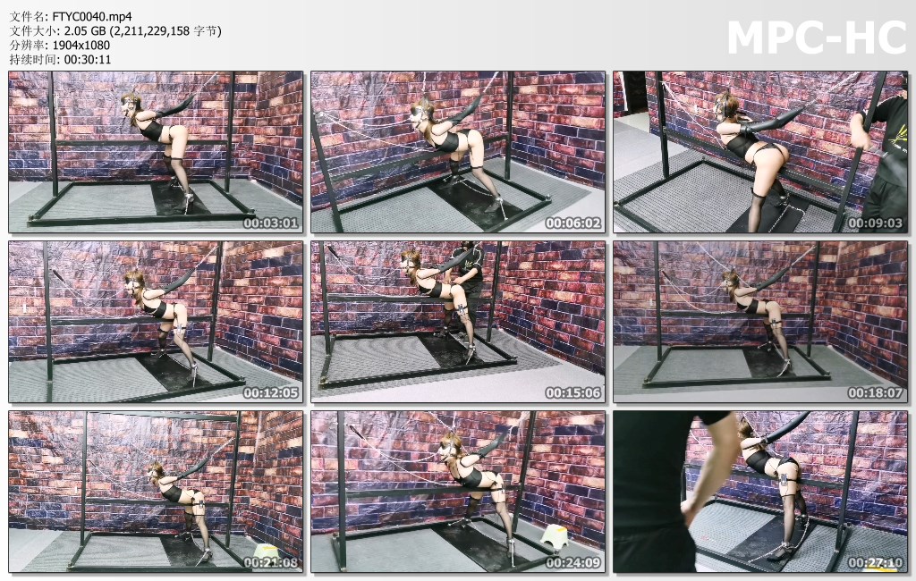 FTYC0040.mp4_thumbs.jpg
