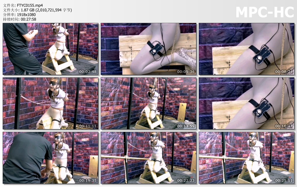 FTYC0155.mp4_thumbs.jpg
