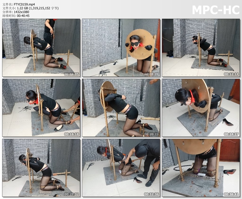 FTYC0159.mp4_thumbs.jpg