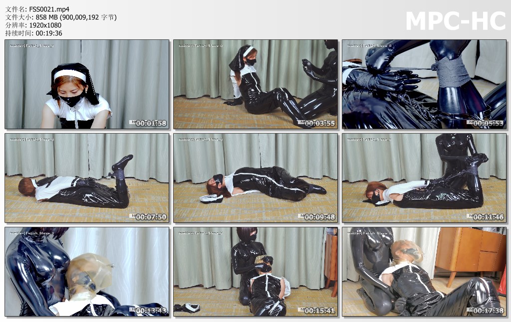 FSS0021.mp4_thumbs.jpg
