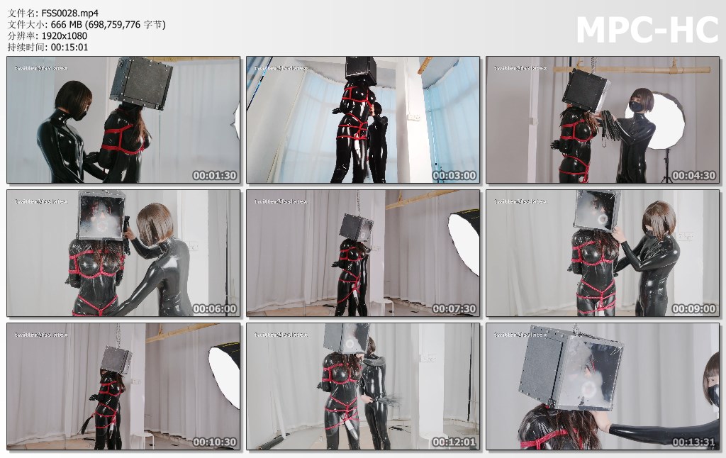 FSS0028.mp4_thumbs.jpg