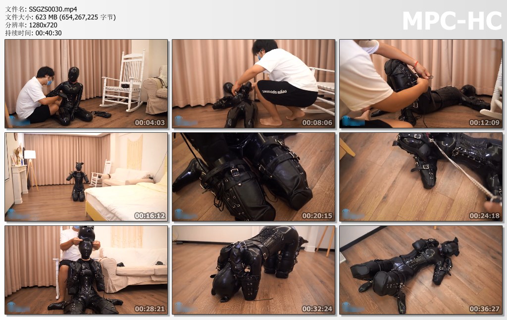 SSGZS0030.mp4_thumbs.jpg