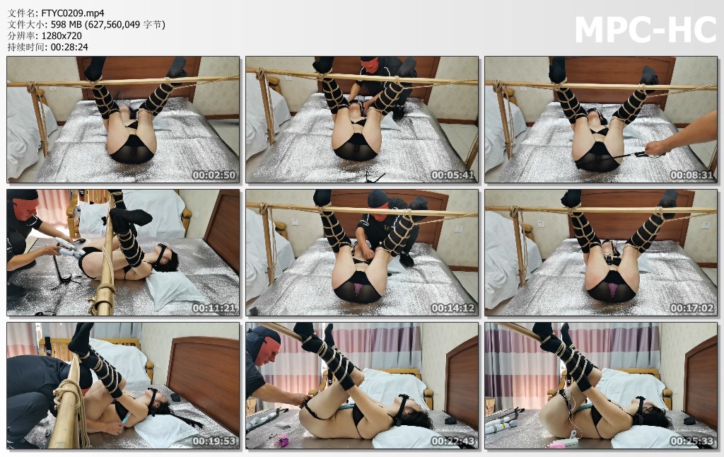FTYC0209.mp4_thumbs.jpg
