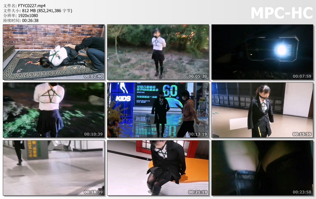 FTYC0227.mp4_thumbs.jpg