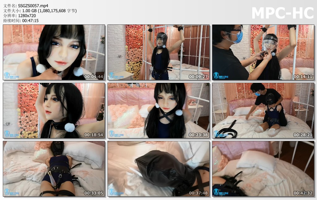 SSGZS0057.mp4_thumbs.jpg