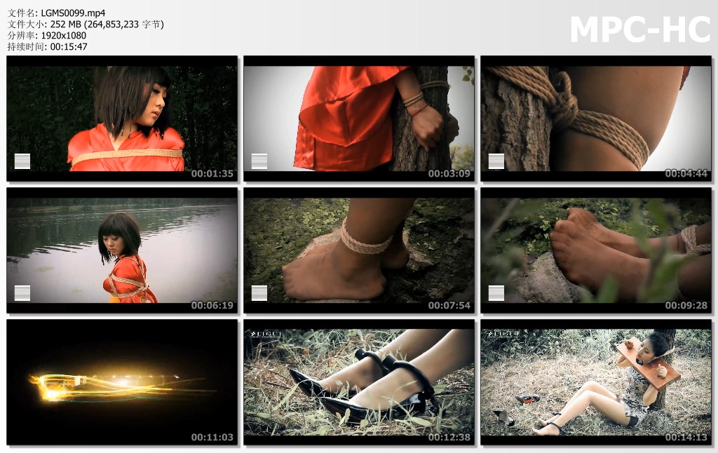 LGMS0099.mp4_thumbs.jpg