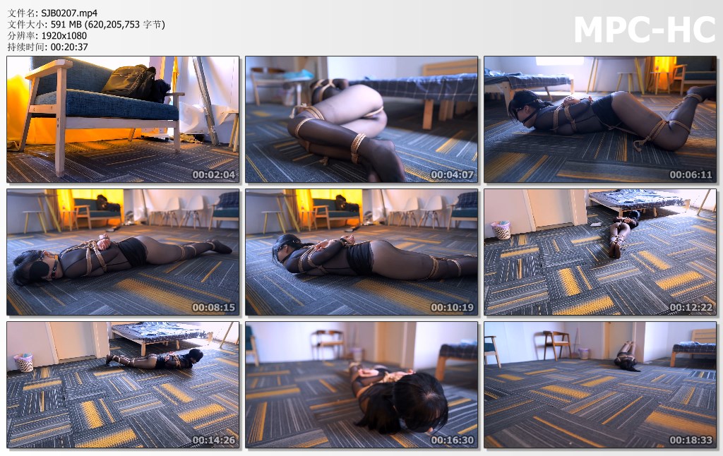 SJB0207.mp4_thumbs.jpg