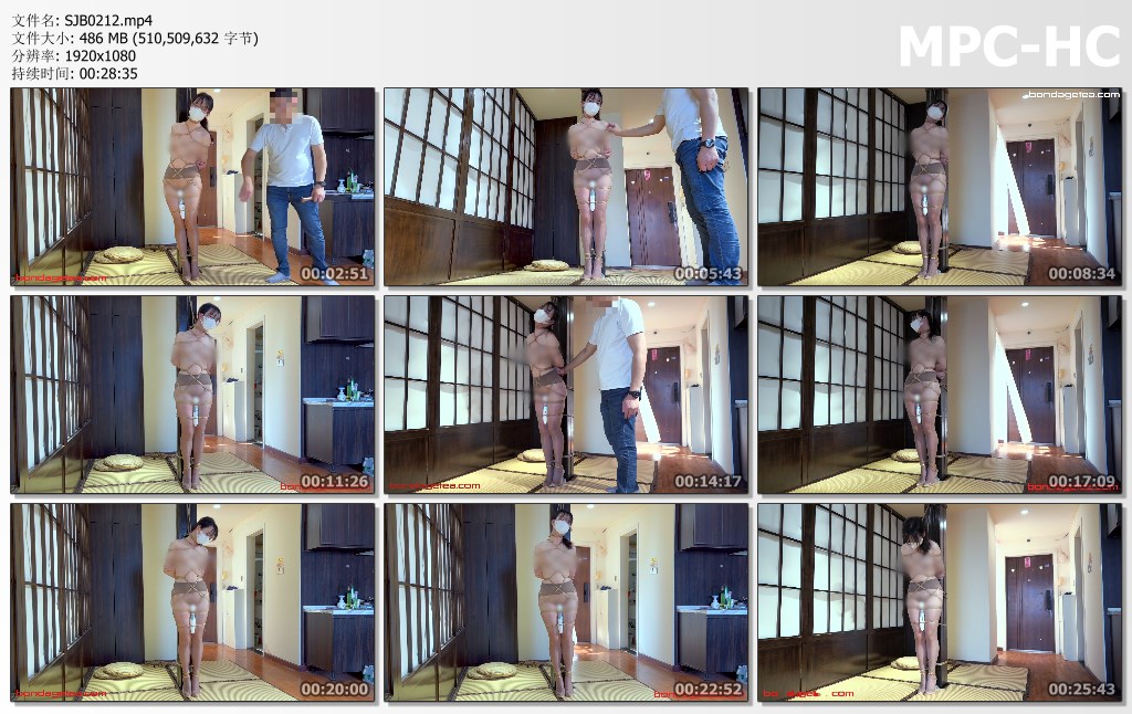 SJB0212.mp4_thumbs.jpg