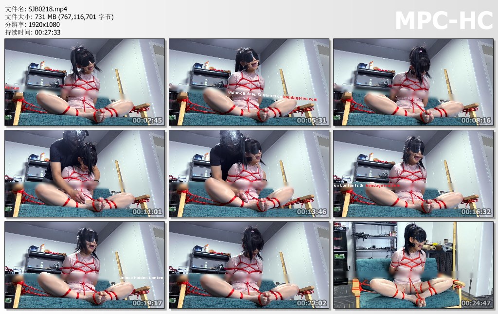 SJB0218.mp4_thumbs.jpg