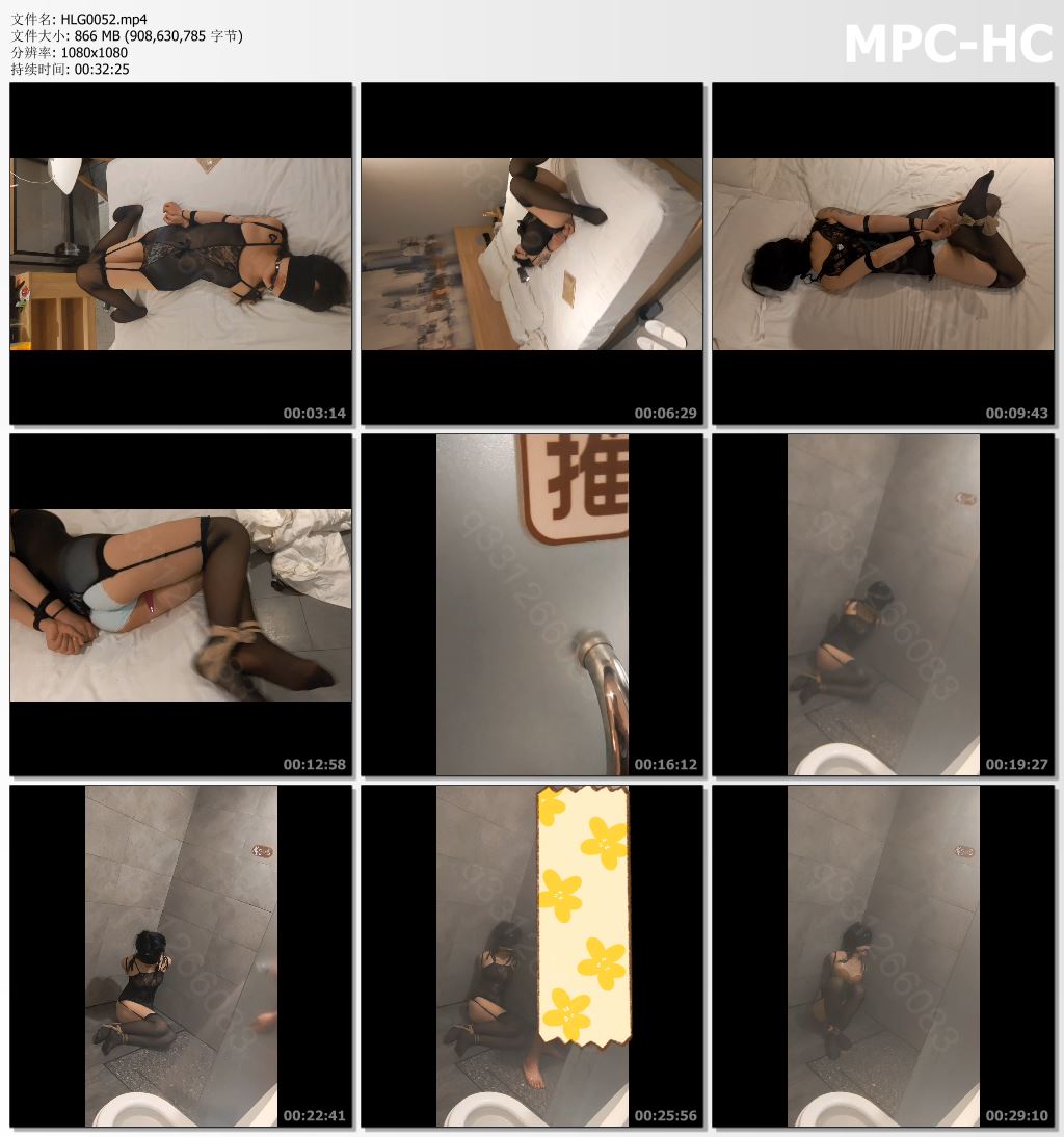 HLG0052.mp4_thumbs.jpg
