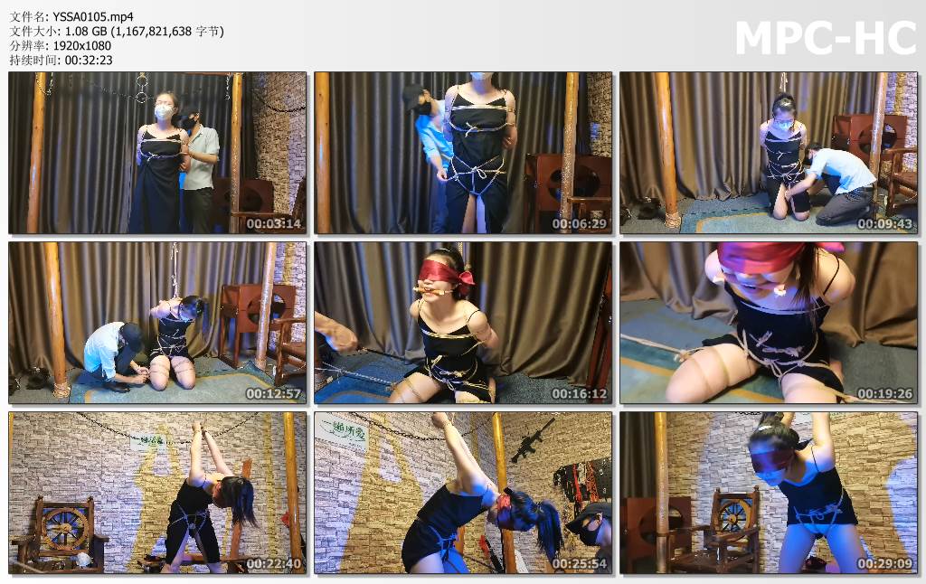 YSSA0105.mp4_thumbs.jpg