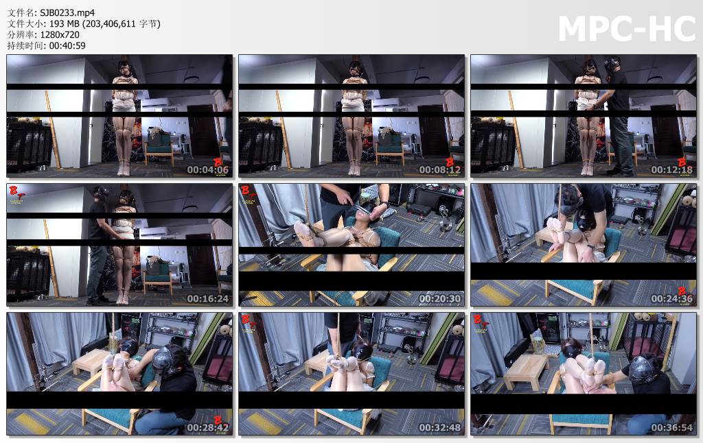SJB0233.mp4_thumbs.jpg