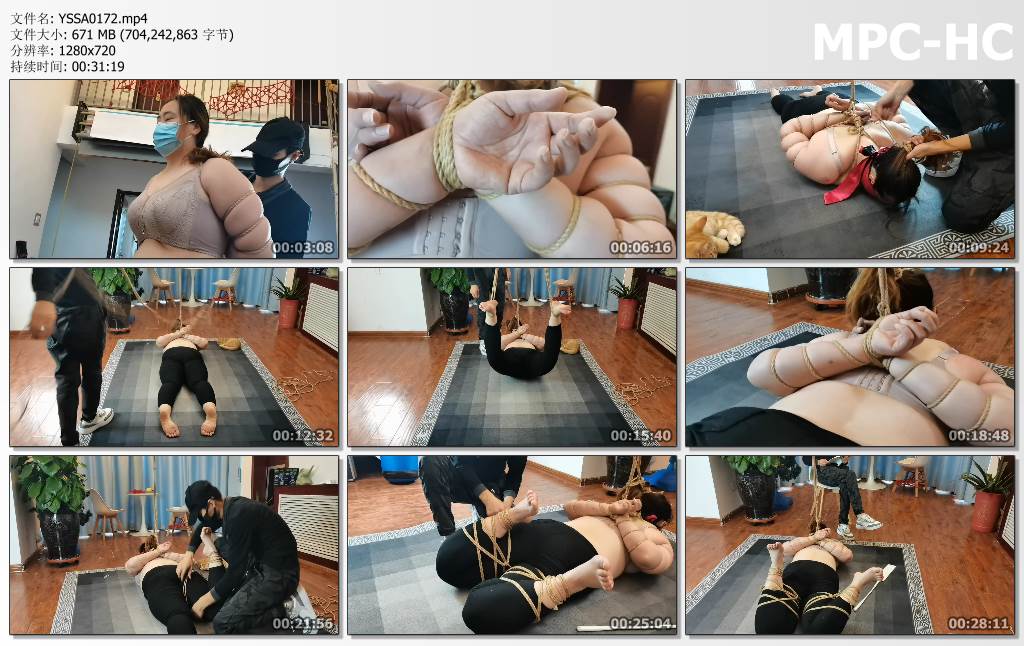 YSSA0172.mp4_thumbs.jpg