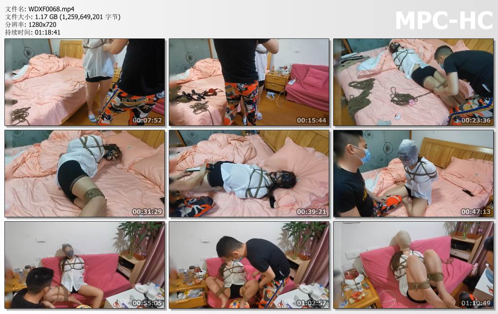 WDXF0068.mp4_thumbs.jpg