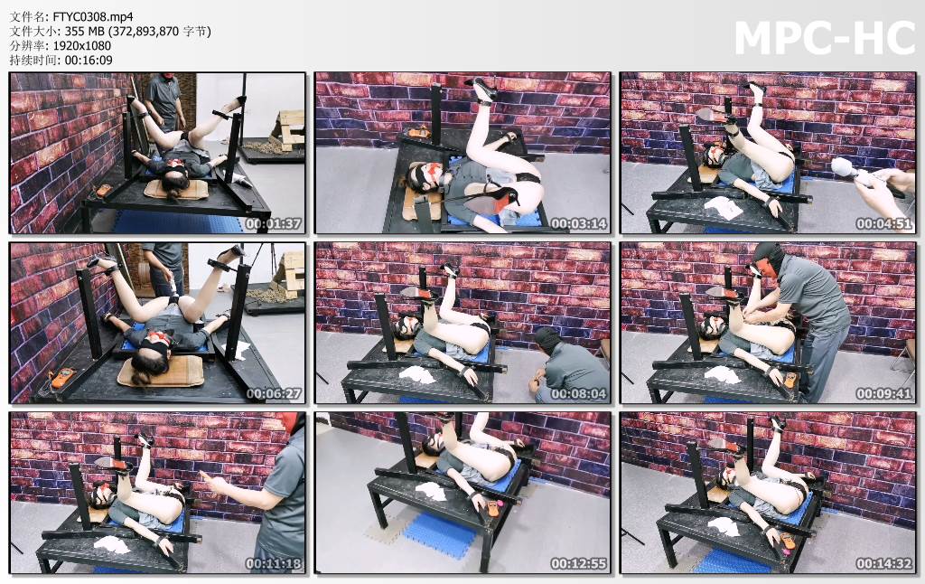 FTYC0308.mp4_thumbs.jpg