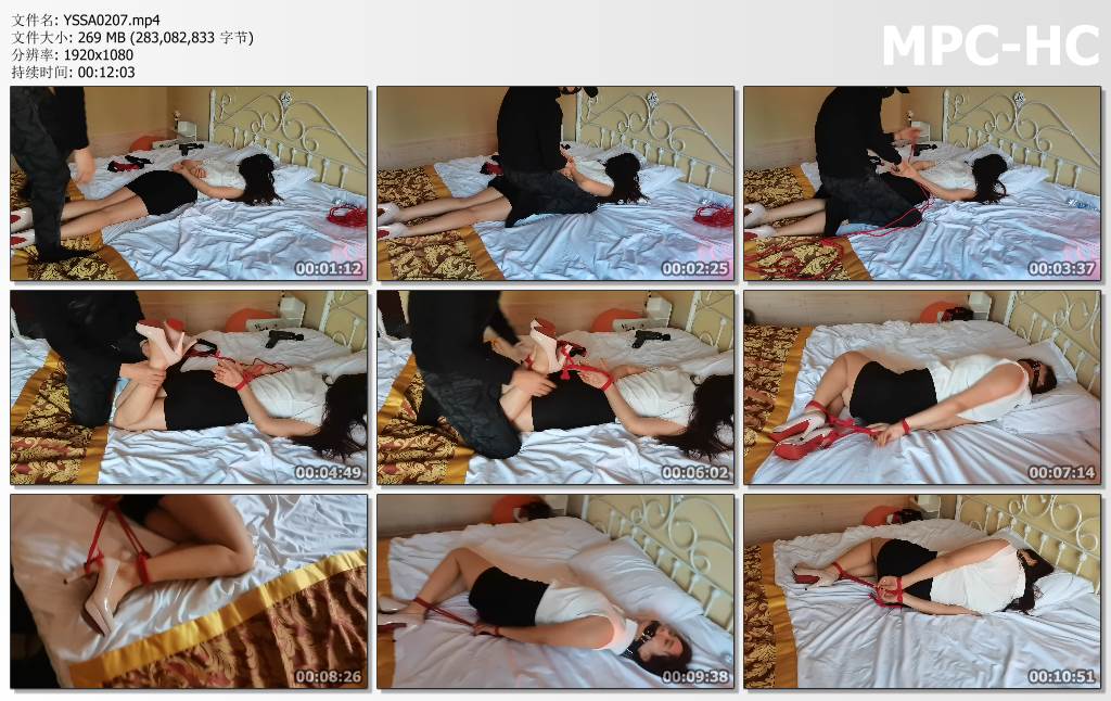 YSSA0207.mp4_thumbs.jpg