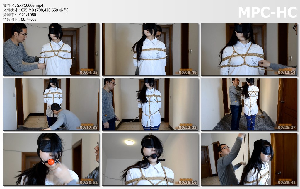 SXYC0005.mp4_thumbs.jpg