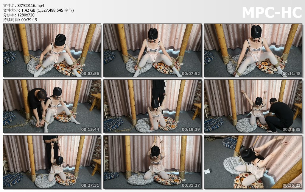 SXYC0116.mp4_thumbs.jpg