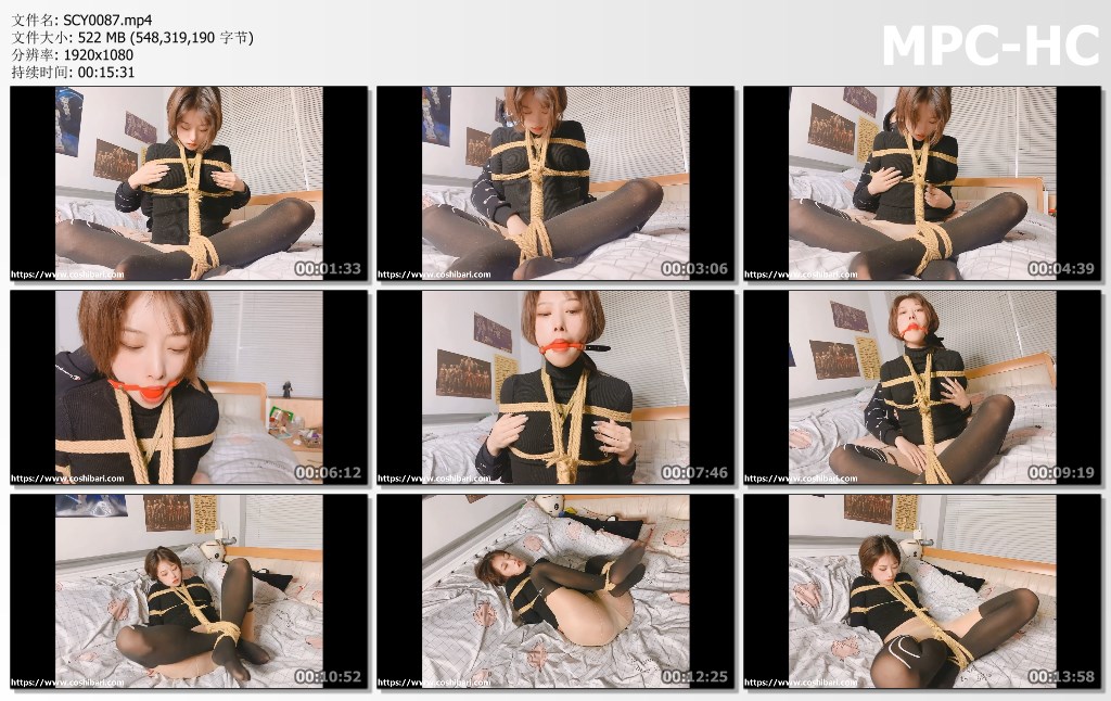 SCY0087.mp4_thumbs.jpg