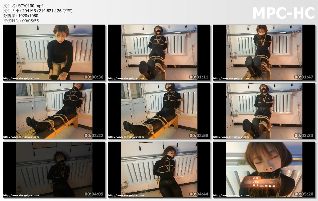 SCY0100.mp4_thumbs.jpg