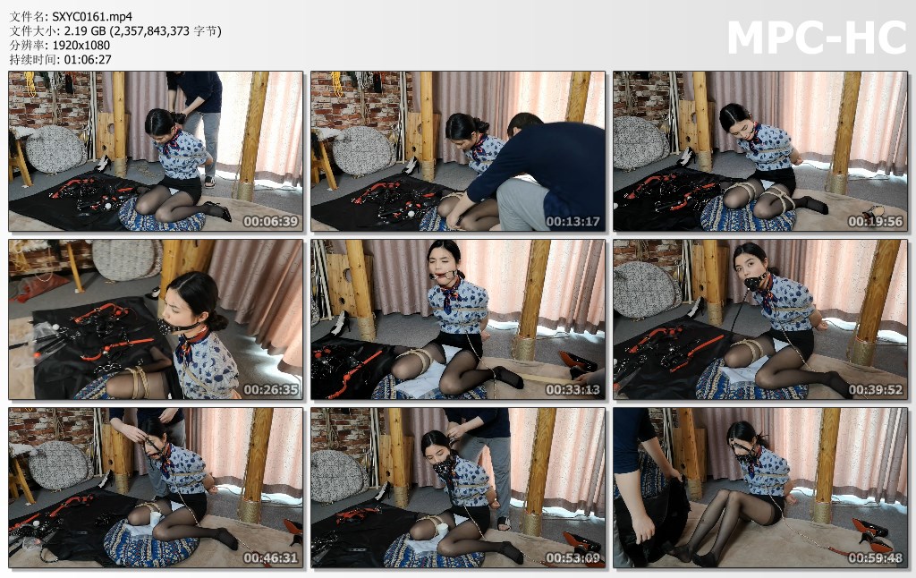 SXYC0161.mp4_thumbs.jpg