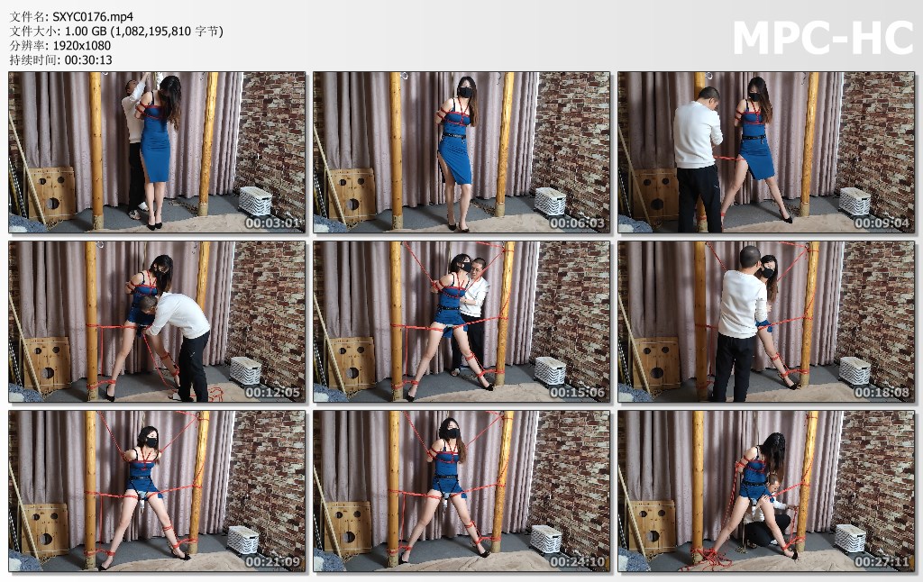 SXYC0176.mp4_thumbs.jpg