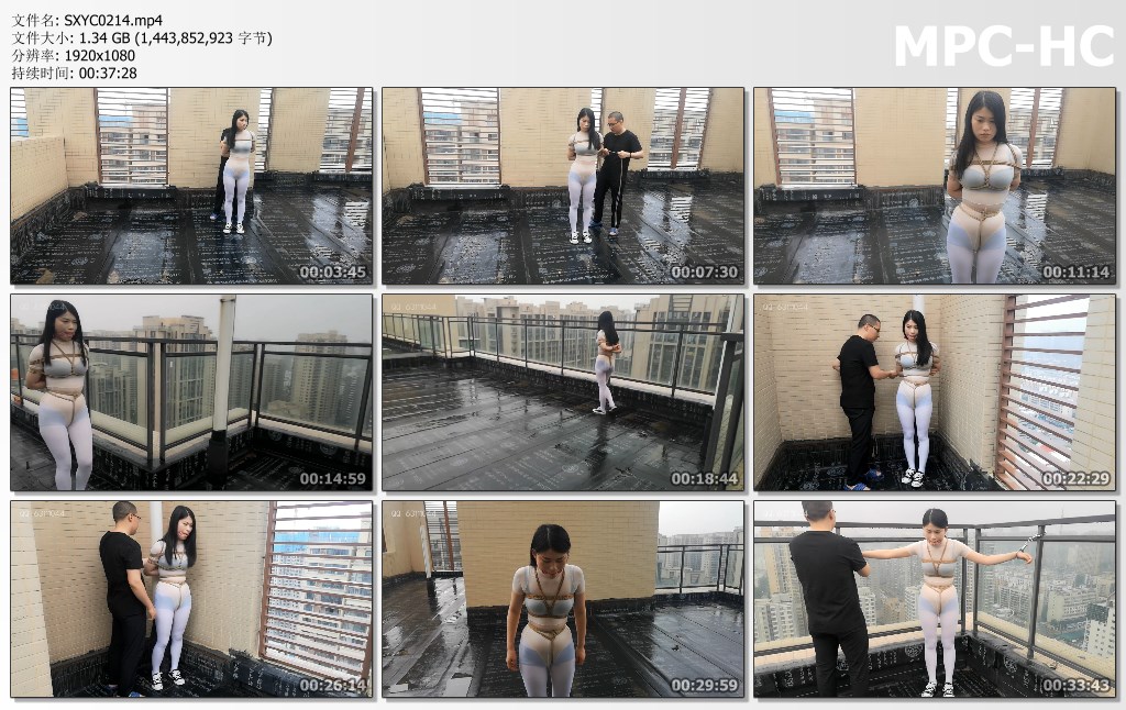 SXYC0214.mp4_thumbs.jpg