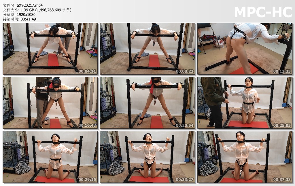 SXYC0217.mp4_thumbs.jpg