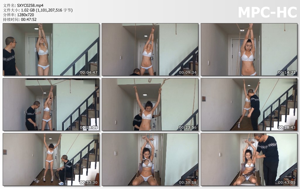 SXYC0258.mp4_thumbs.jpg