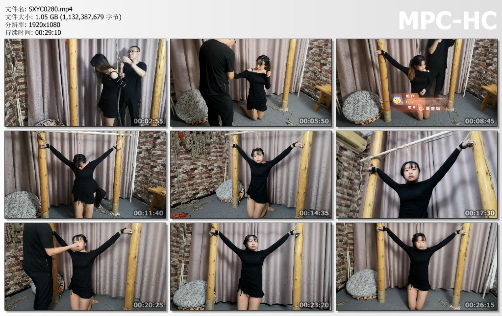 SXYC0280.mp4_thumbs.jpg