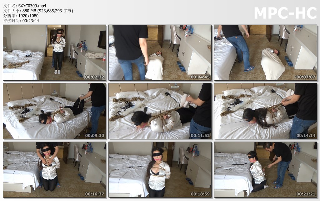 SXYC0309.mp4_thumbs.jpg