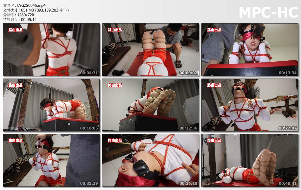 LYGZS0045.mp4_thumbs.jpg