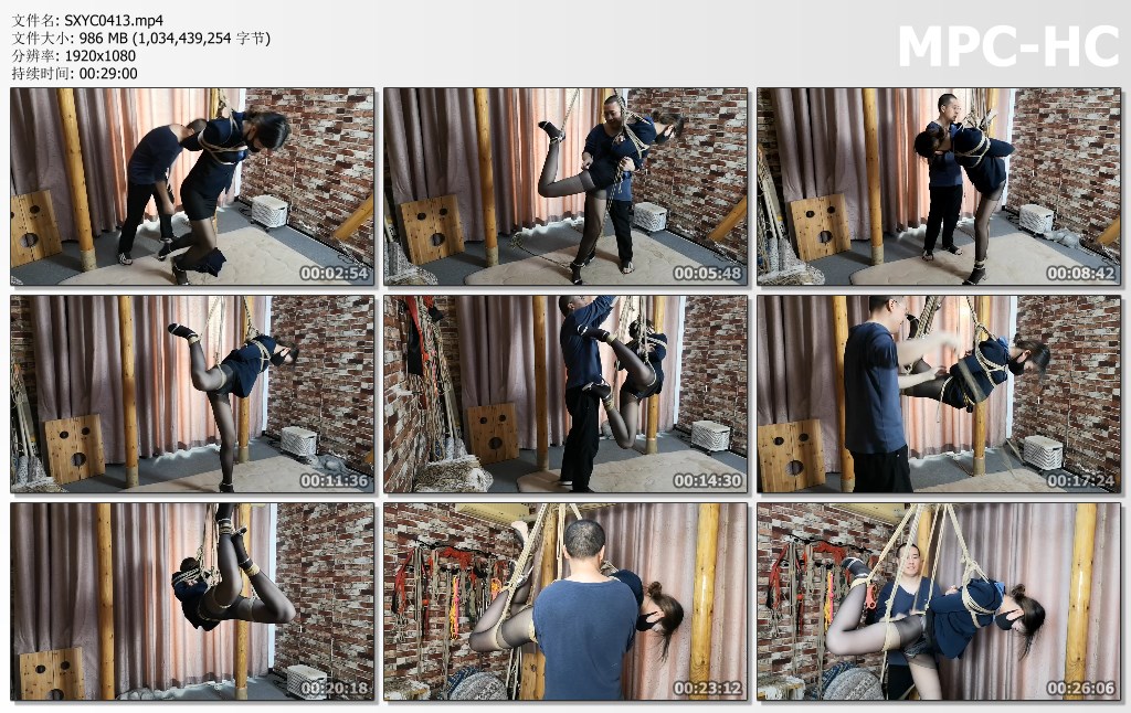 SXYC0413.mp4_thumbs.jpg