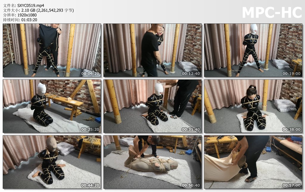 SXYC0519.mp4_thumbs.jpg
