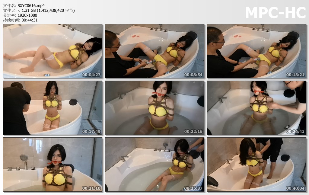 SXYC0616.mp4_thumbs.jpg