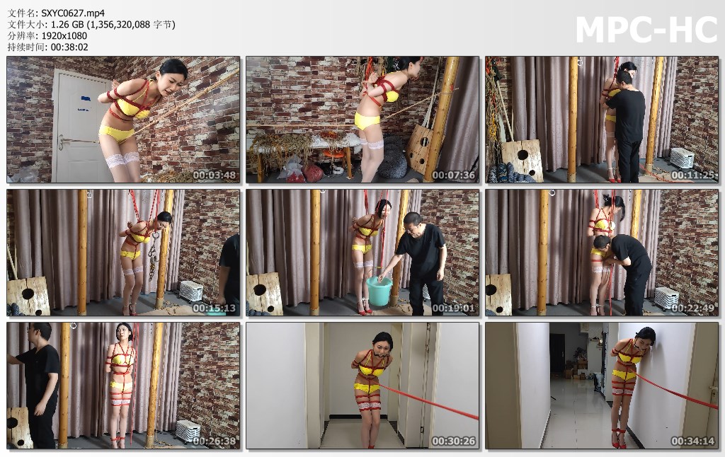 SXYC0627.mp4_thumbs.jpg