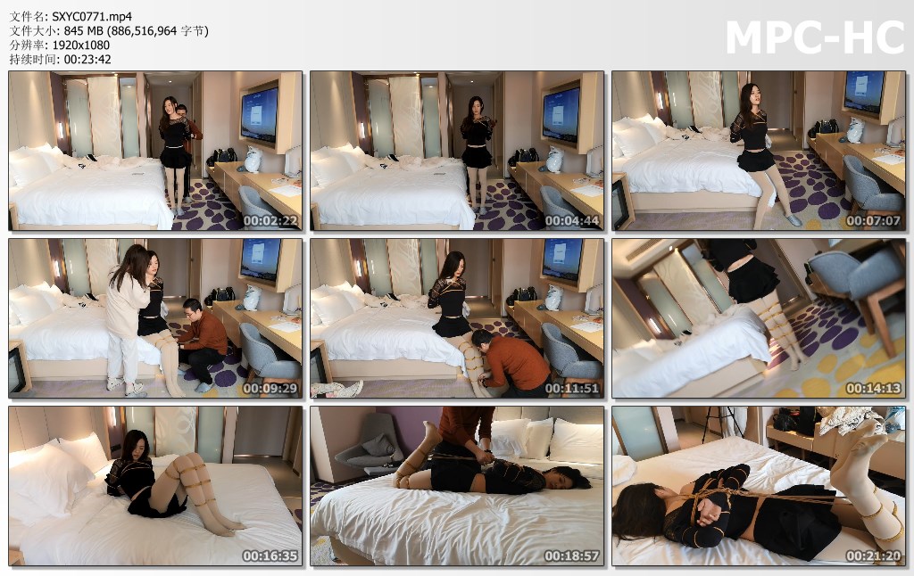 SXYC0771.mp4_thumbs.jpg