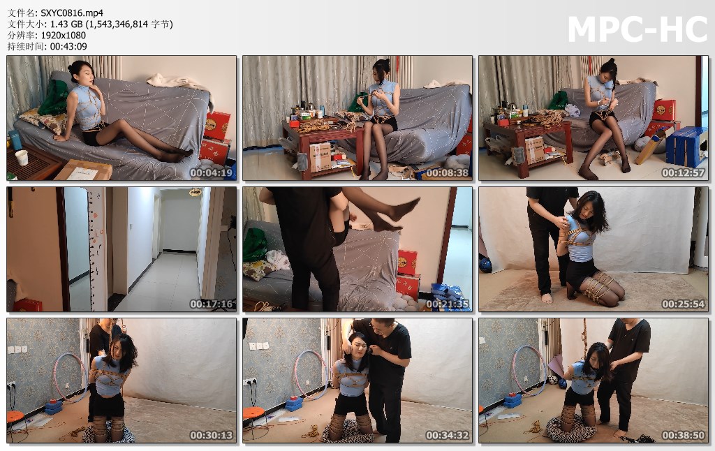 SXYC0816.mp4_thumbs.jpg