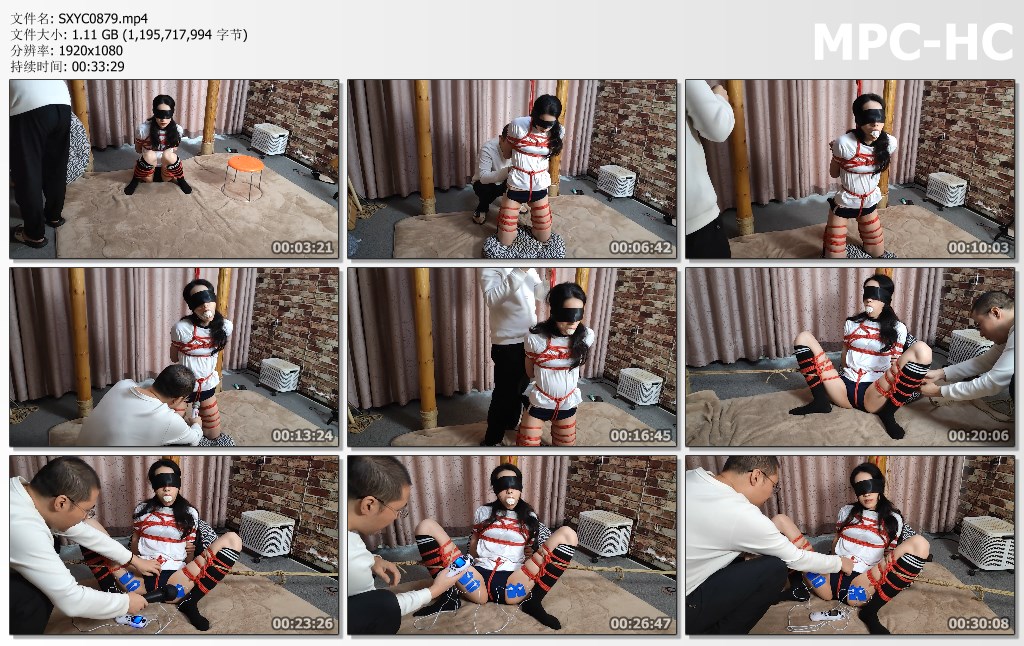 SXYC0879.mp4_thumbs.jpg
